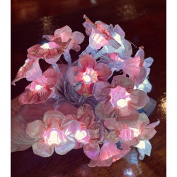 Guirlande lumineuse  Lueur Florale